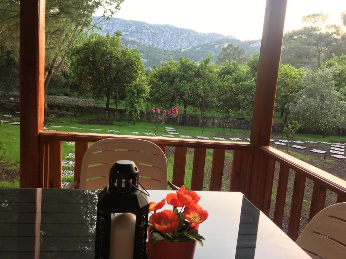 Appartamento Seker Bungalov Çıralı Esterno foto