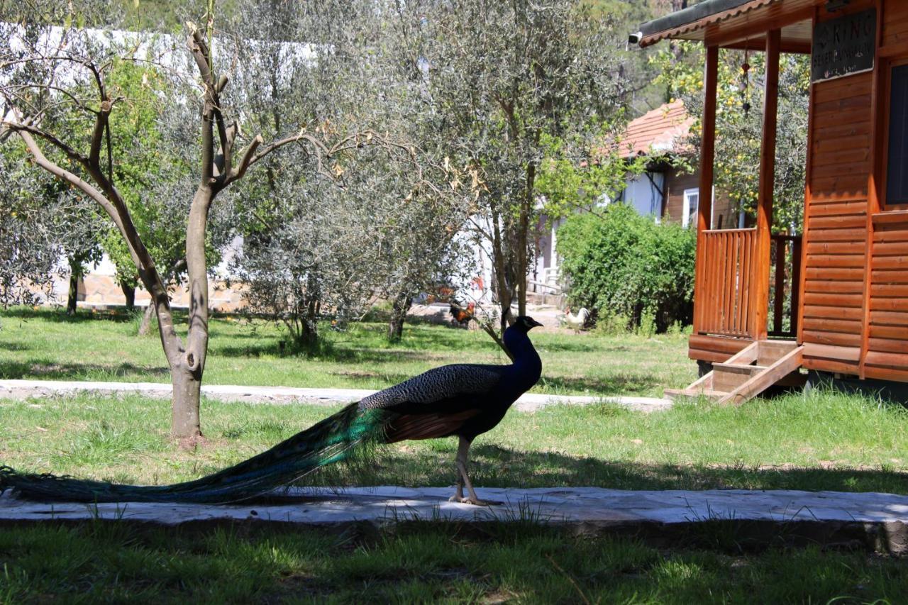 Appartamento Seker Bungalov Çıralı Esterno foto