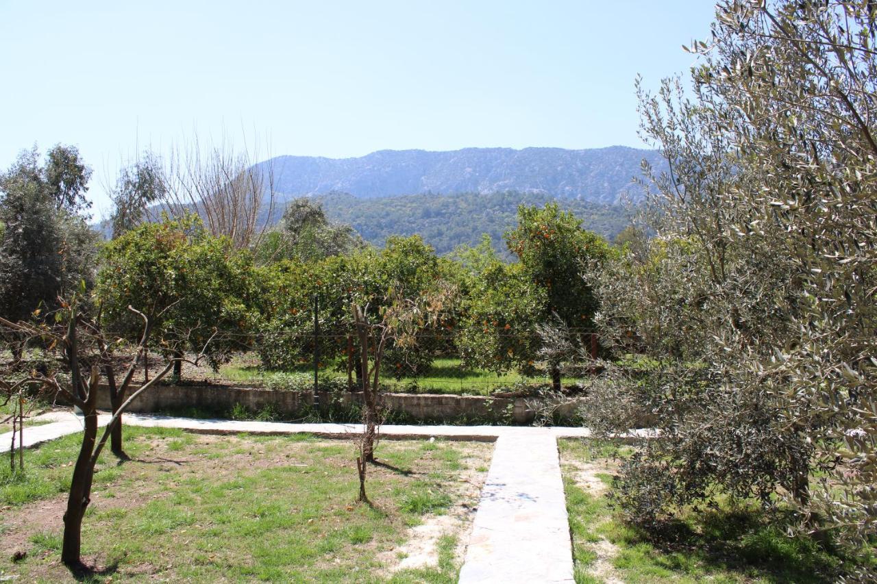 Appartamento Seker Bungalov Çıralı Esterno foto