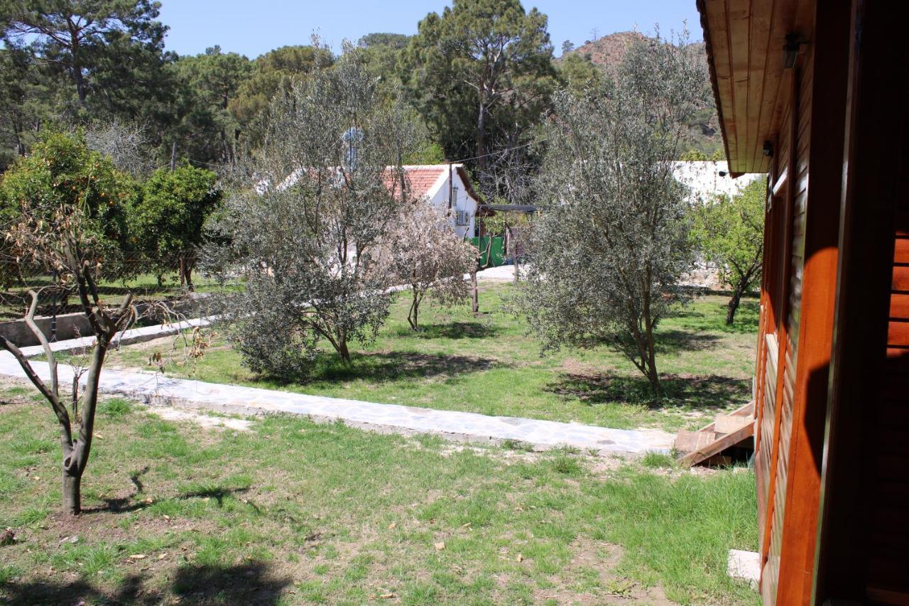 Appartamento Seker Bungalov Çıralı Esterno foto