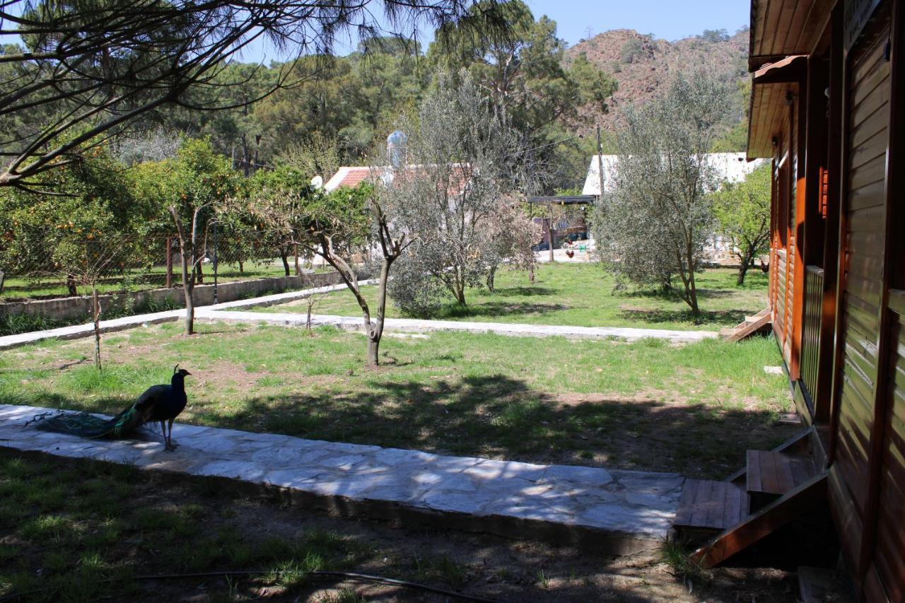 Appartamento Seker Bungalov Çıralı Esterno foto