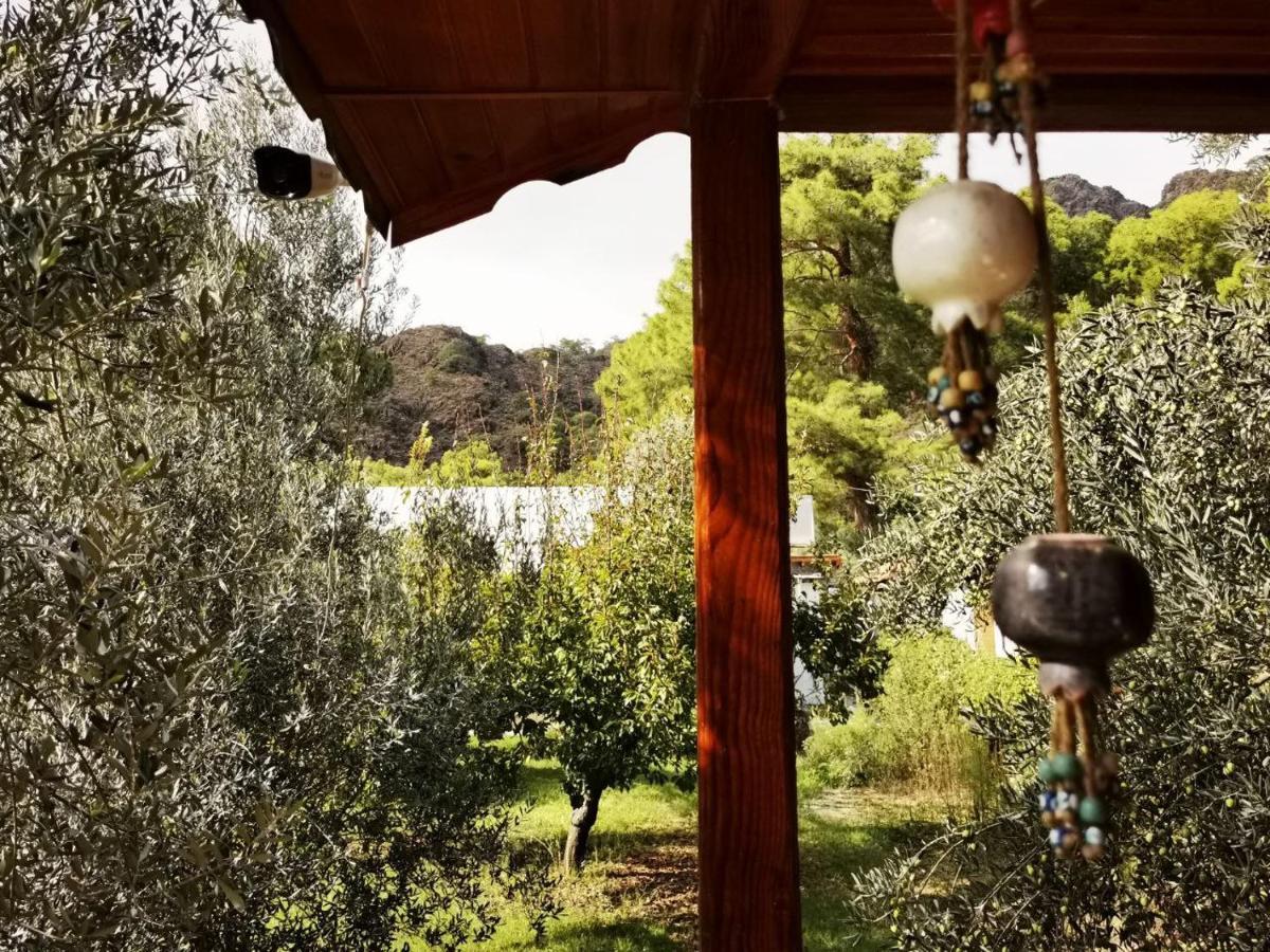 Appartamento Seker Bungalov Çıralı Esterno foto